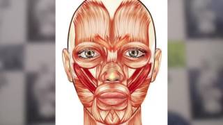Гимнастика для лица FACEFORMING  Галины Дубининой -  Убираем носогубные складки