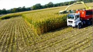 AgroTruck Stapel / Maishäckseln