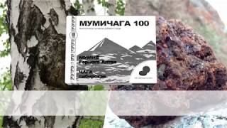 Мумичага 100: мумие и чага для Вашего здоровья!