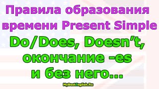 Правила времени present simple и примеры предложений, как образуется это время в английском языке