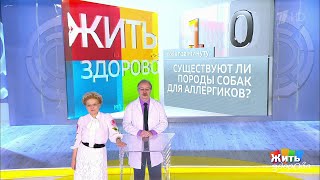 Совет за минуту: собака для аллергика. Жить здорово!  30.04.2019