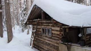 Избушка в лесу