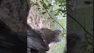 помогите спасите(это надо же было так...)