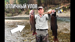РЫБАЛКА В ЯКУТИИ. САШИМИ ИЗ ТАЙМЕНЯ. ПИЛОТНЫЙ ВЫПУСК