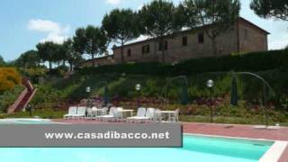 www.casadibacco.net Farmhouse Hotel Montepulciano Tuscany Bed and Breakfast