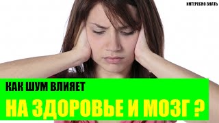 Как шум влияет на здоровье и мозг?