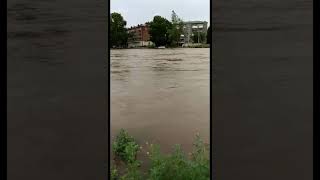 Нижнеудинск река Застрянка 26.06.19