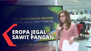 Isu Lingkungan Mentok, Eropa Jegal Sawit Pangan