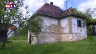 Zvornik, Predrag Ristic