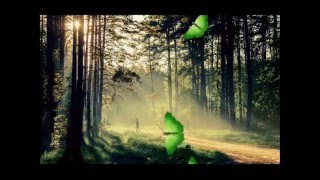 ФУТАЖИ -БОЛЬШАЯ ПОДБОРКА ФУТАЖЕЙ-- ДЛЯ ВИДЕОМОНТАЖА