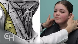 Pediatric Exams: Normal and Abnormal Thyroid
