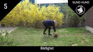 Svart serie övning 5 på både människa och hund