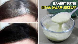 UBAN HILANG SAMPE KE AKAR-AKARNYA – CARA MENGHILANGKAN RAMBUT UBAN SECARA ALAMI 