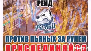 Полиция с подставными "пуделями" разводят водителей на пьянку