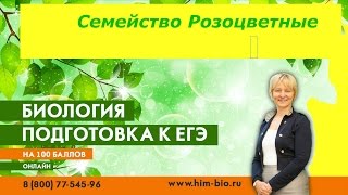 Семейство Розоцветные .Теория и практика ЕГЭ/ОГЭ. Биология