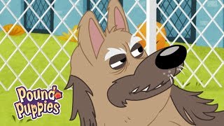 Pound Puppies Season 3 - 'No New Friends' Official Clip