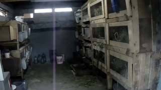 первые мои клетки для кроликов
