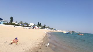 Крым. Погода в Крыму. Море +26. Жара +42. 07.08.2017 (Трансляция)