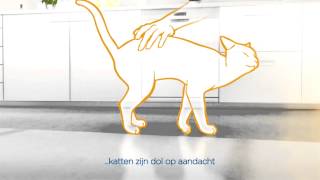 10 tips om stress bij de kat te verminderen