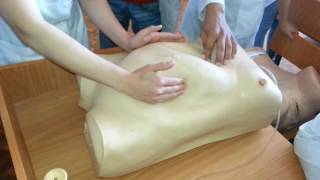 Приемы Леопольда-Левицкого