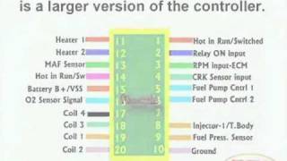 ECM Circuit & Wiring Diagram