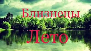 Близнецы. Лето 2019 года ? Таро-прогноз