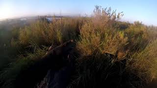 Norfolk Fowler Episode 12 November 2017