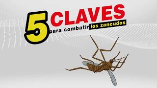 5 claves para combatir los zancudos