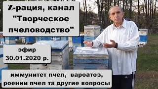 30.01.20 г. Z-рация, канал "Творческое пчеловодство" Малыхин В.Е., общение в режиме «вопрос - ответ»