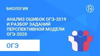 Анализ ошибок ОГЭ 2019 по биологии и разбор заданий перспективной модели ОГЭ 2020