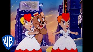 Tom y Jerry en Español | Jerry en Manhattan