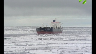 За 5 месяцев и 33 рейса танкеры перевезли миллион тонн нефти с Ямала