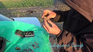Поиск Царских Монет Minelab X-terra 705 и Garrett Ace 350 Euro