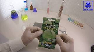 Капуста белокочанная Мишутка. Артикул