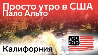 Просто утро в Пало Альто, Калифорния, Силиконовая Кремниевая Долина