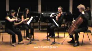 Only Exception, Paramore - 16 Strings String Quartet Remix