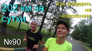Суточный забег 2016 (№90)