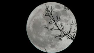 Полнолуние 9 февраля 2020. Ритуалы в полнолуние.