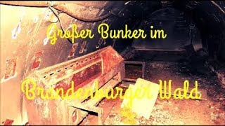 Wald voller Bunker / Große Bunkeranlage gefunden #bunker
