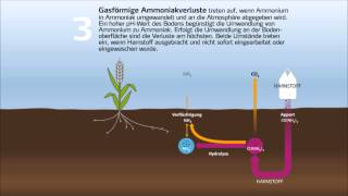Stickstoff-Kreislauf und Umsetzung von Dünger-Stickstoff im Boden