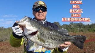 PESCA DEL BLACK BASS EN PRIMAVERA