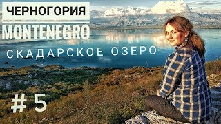 ЧЕРНОГОРИЯ 2019 / СКАДАРСКОЕ ОЗЕРО - страшный серпантин, такого мы еще не видели!