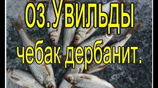 Рыбалка оз.Увильды, чебак дербанит. со стороны Рипуса.