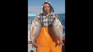 Fishing video, Pesca Açores, Pargo, Abrótea, Raia, Moreia, Cação, Congro, Goraz