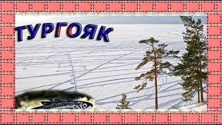 Тургояк. На рипуса в марте.