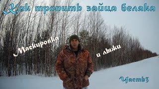 Как тропить зайца беляка.  Часть 3.  Маскировка и лыжи.
