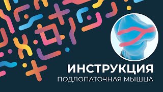 Kinexib - тейпирование подлопаточной мышцы