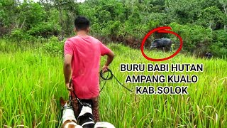 Seru berburu babi hutan di Ampang Kualo Solok