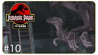 Die Raptoren kommen ins Spiel! #10 Jurassic Park - The Game - Let's Play