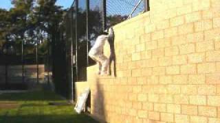 Freerun Footage from New Camera